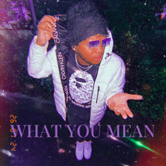 Drip Cartier - What You Mean (prod. sillyaris x rckts)