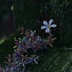 Eisenheinrichs Fischerlied (Cover)