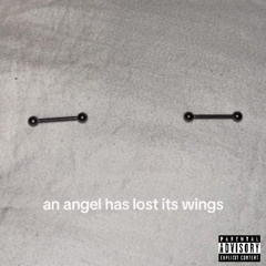 *sc only [KillJack] - fly away