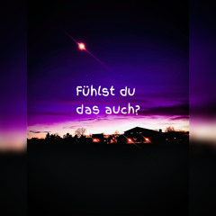 Fühlst du das auch (Prod. Reginprod)