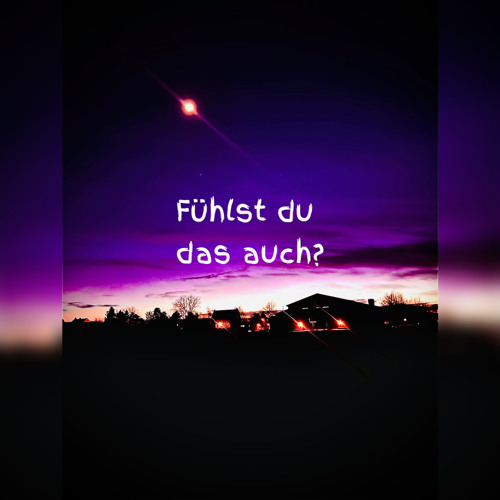 Fühlst du das auch (Prod. Reginprod)