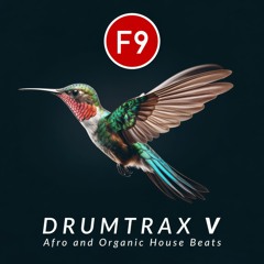 F9 Drumtrax V Main Audio Demo B