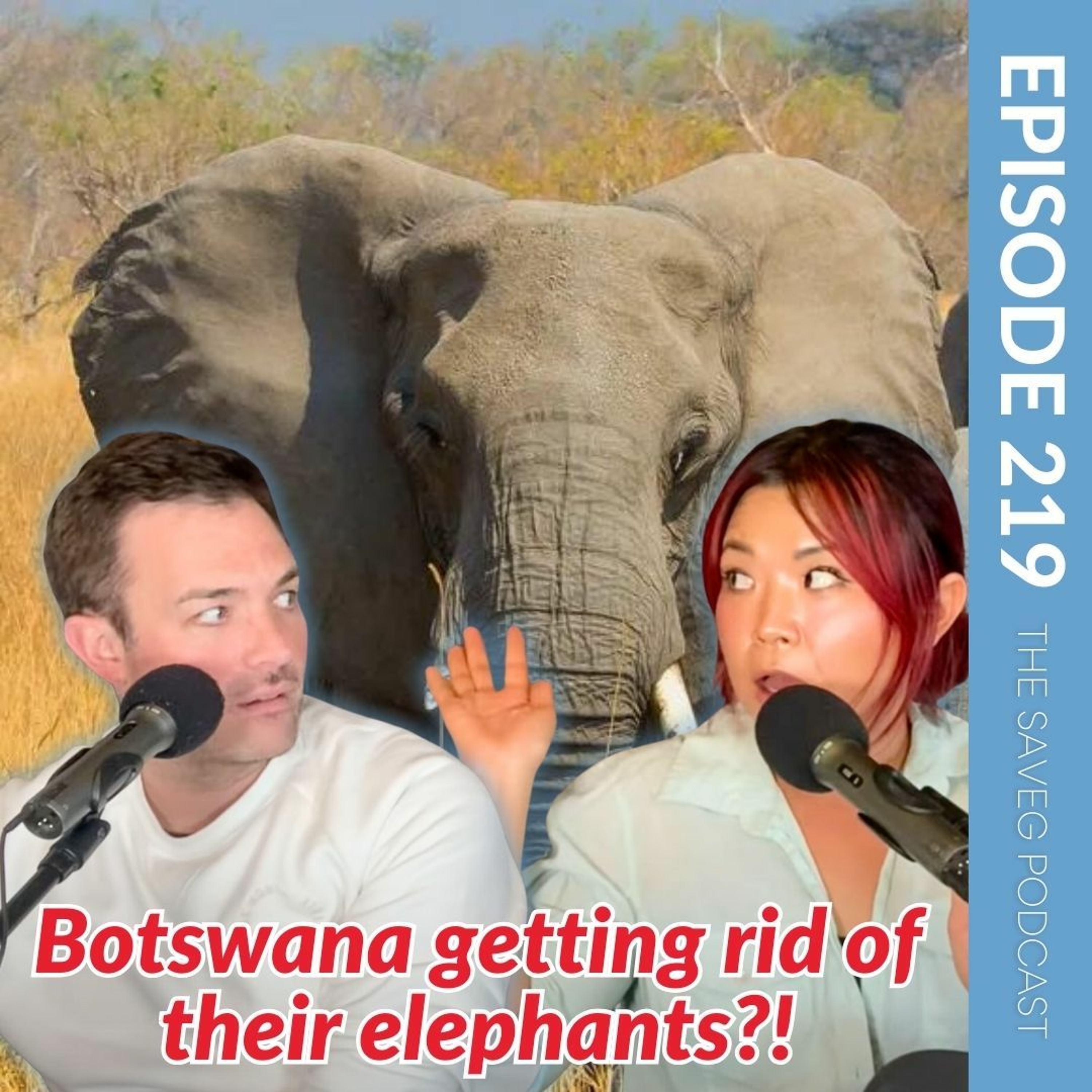 The SaVeg Podcast