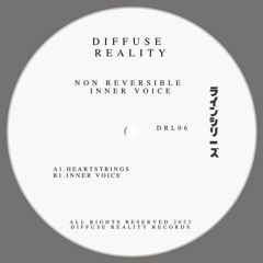 Premiere: Non Reversible - Reticence [DRL06]