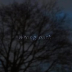 Wrong Path - Original