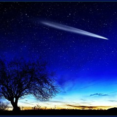 Wishing On A Star