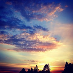 In The End- Live from the living room