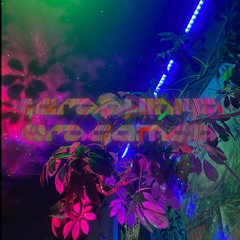 golden green dragon dreaming … 💛🐉 grand piano improvisation