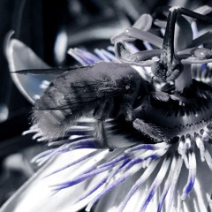 SweetSpot / Techno Mix