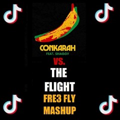 Shaggy Banana vs. The Flight (Why Love Me) [Fre3 Fly Mashup]