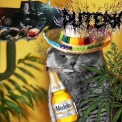 sicario anda matando (PUTERIA) buddah on drums buddah on vocals stavi on secondary vocals