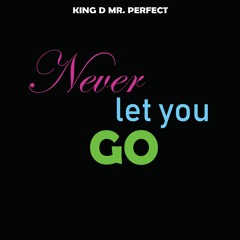 Never Let You Go (Produced by King D Mr. Perfect)