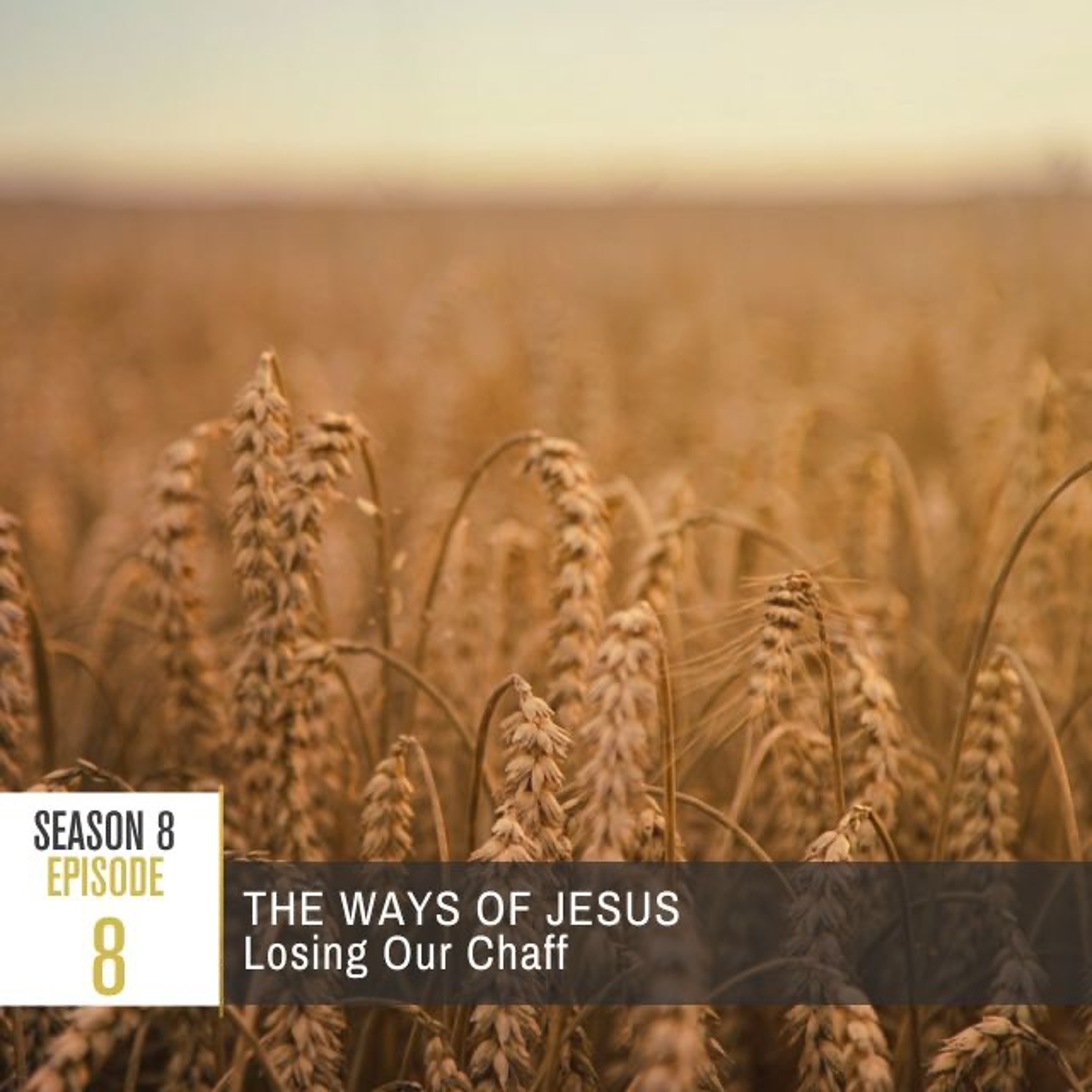 Paying Ridiculous Attention to Jesus
