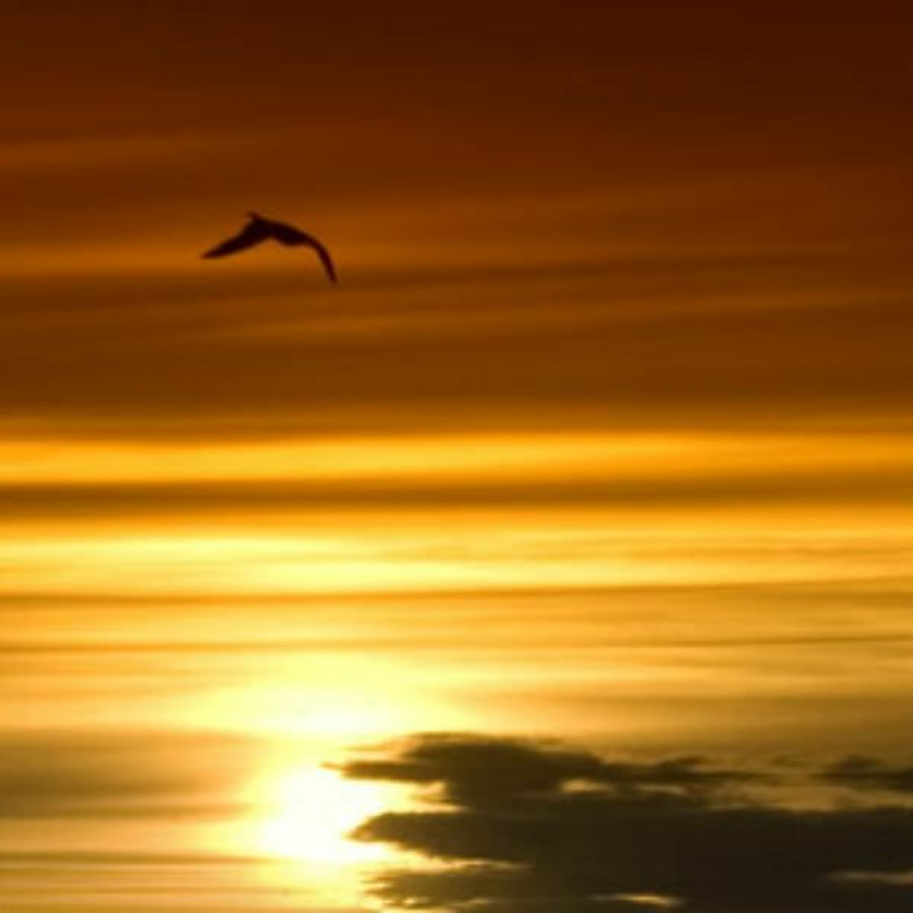 Peace be still: Spirit of Prayer part 2 track 12 episode artwork