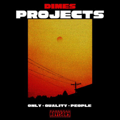 Projects - Dimes