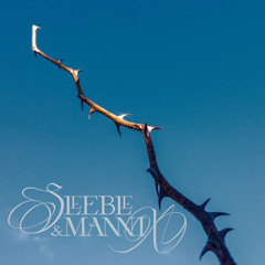 Sleeble & Mannix (feat.asmarr311) prod.Em1le0