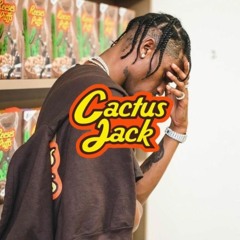 Niagara Falls - Metro Boomin & Travis Scott (House Remix)