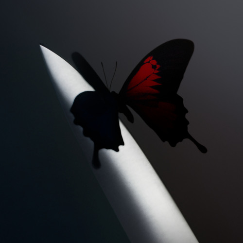 Wasting Angels (feat. The Kid LAROI)