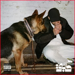 Shabjdeed - KALBI شب جديد - كلبي