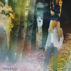 Ballad Of The Feral Stallion And His Person