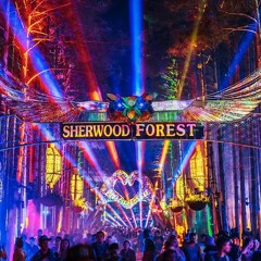 GRiZ CTGH Live @ Electric Forest 2022