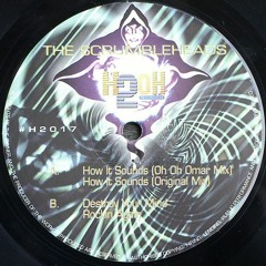 The Scrumbleheads - Destroy Your Mind