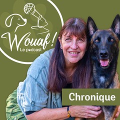 Ep. #2 - Et si ton chien était stressé ?