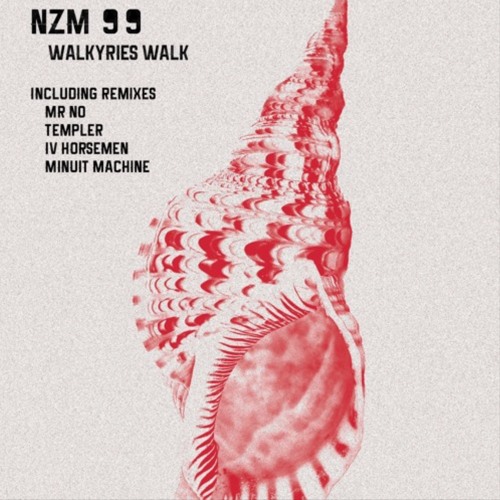 Premiere: NZM 99 - Nobody Dance (Templer Remix) [Tjalk Records]