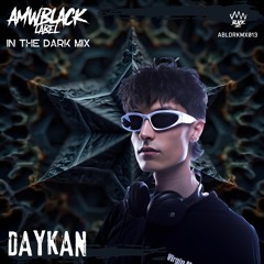 In The Dark Mix 013 - Daykan [IR]