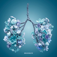 H. BREATH [Mélange]