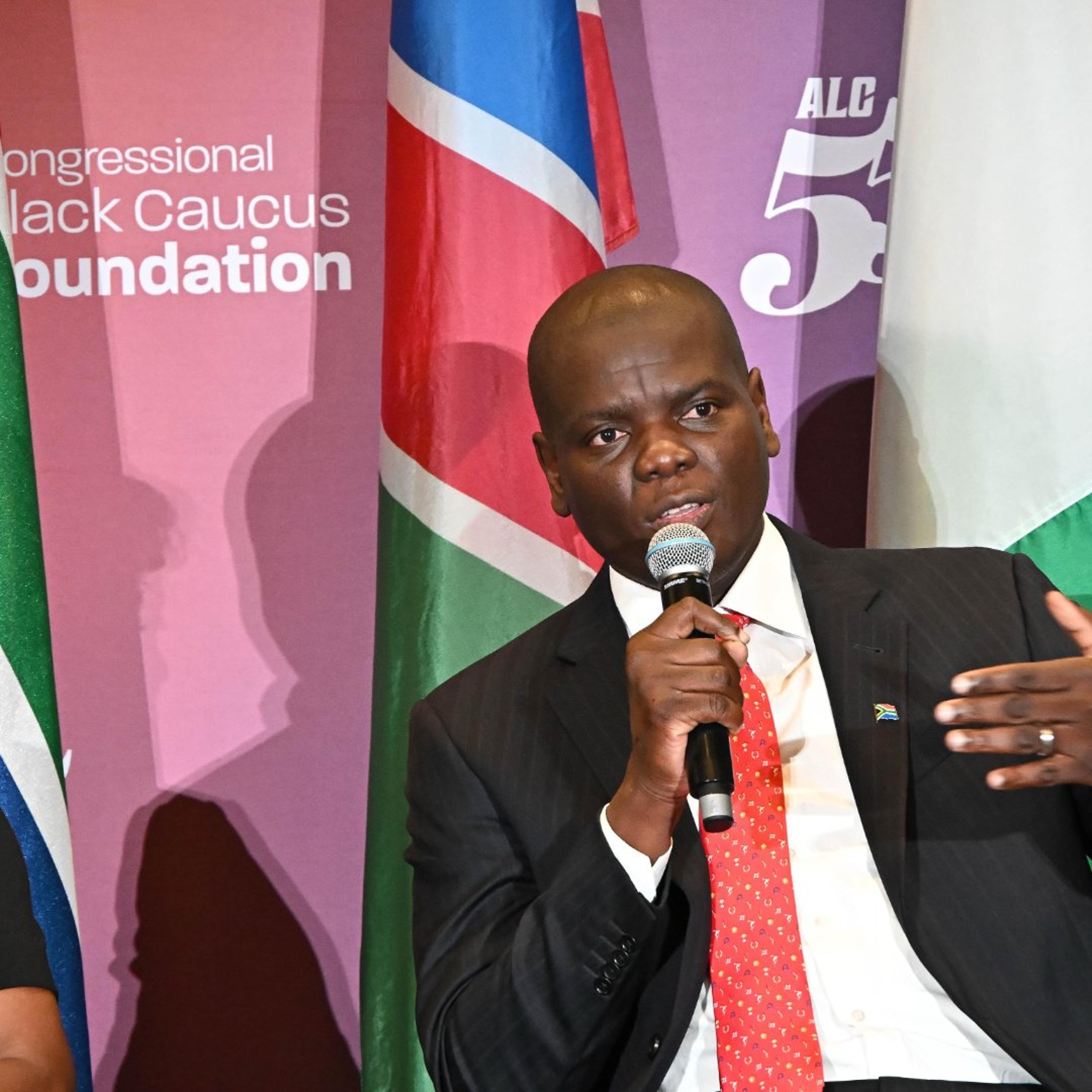 South Africa is a Constitutional Democracy, and has not abandoned its Ubuntu values - Minister Lamola episode artwork