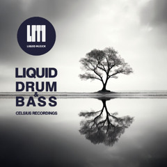 Celsius Podcast #97 - Nelver & Redemptive