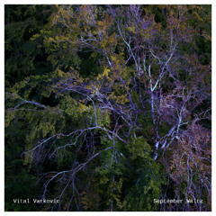 September Waltz