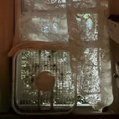 punish - ethel cain (live in paris june 3 2024)