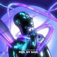 (INV047) / Feel My Soul