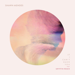 Shawn Mendes, Gryffin - If I Can't Have You