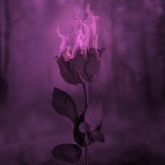 Malaria & Tango -☆long❁‿❁time☆