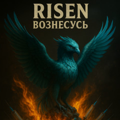 Миссия принята-Mission Accepted