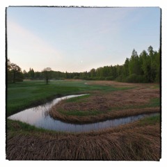 Soundscape Of The River Lemmjõgi May 23, 2022. Soomaa National Park, Estonia