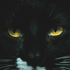 mooky