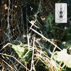 PREMIERE: Florian Kupfer - Integrating The Shadow (Urban Legend Records)