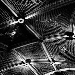 RIMA X SHOY - FLUSHED AWAY