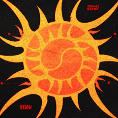 Seeking Sunrise (Original Mix)