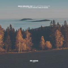 Diego Miranda (CH) - The Last Psychonauts [3rd Avenue]