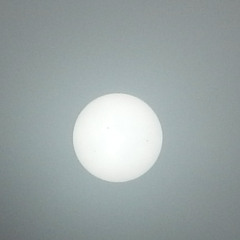 moonlight