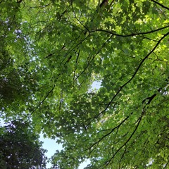 innerself (pressure)