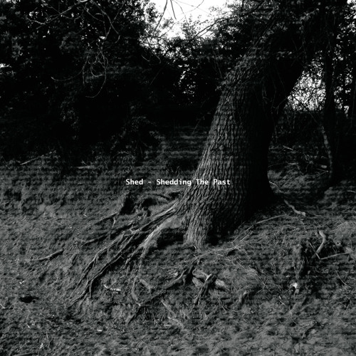 That Beats Everything!