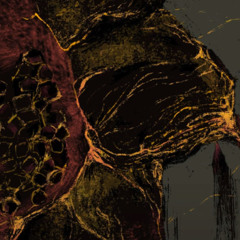 український потік 2025