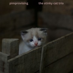 03 Pickled Rat Guitar Solo