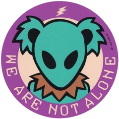 Invader Bear - Invader M x LogiBear